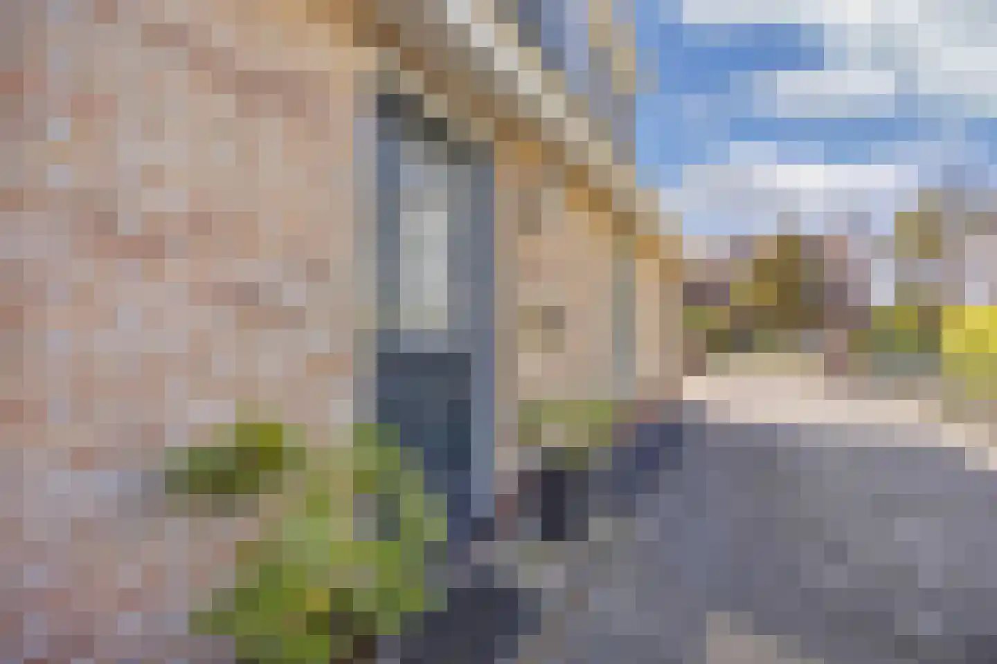 A.V.H. Destreelaan 119 Sint Pancras thumbnail 6