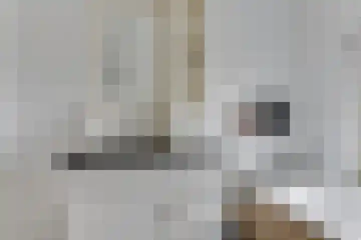 A.V.H. Destreelaan 46 Sint Pancras thumbnail 32