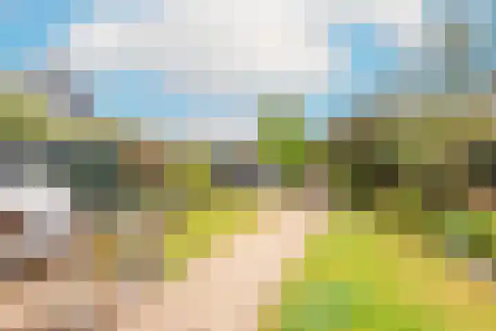A.V.H. Destreelaan 46 Sint Pancras thumbnail 38