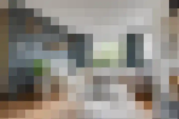 A.V.H. Destreelaan 46 Sint Pancras thumbnail 6