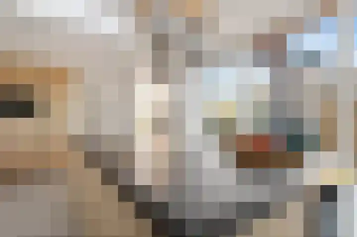 A.V.H. Destreelaan 80 Sint Pancras thumbnail 16
