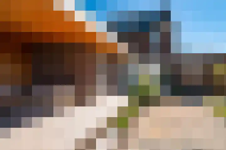 A.V.H. Destreelaan 80 Sint Pancras thumbnail 34
