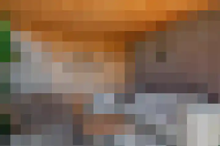 A.V.H. Destreelaan 80 Sint Pancras thumbnail 38