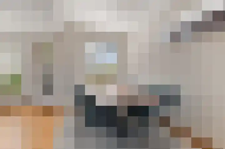 A.V.H. Destreelaan 80 Sint Pancras thumbnail 7