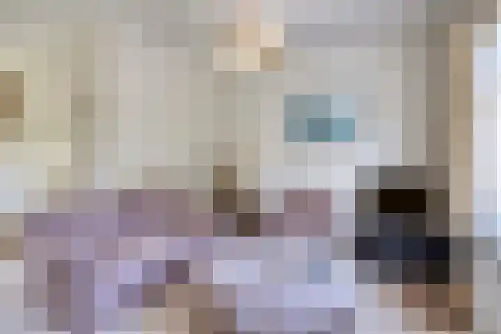 A.van Burenlaan 3 Goes thumbnail 10