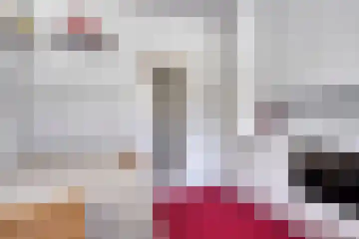 A.van Burenlaan 3 Goes thumbnail 13