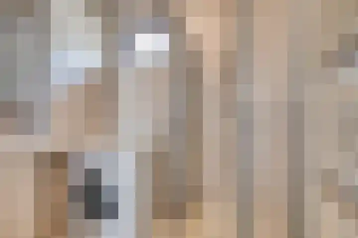 A.van Burenlaan 3 Goes thumbnail 19