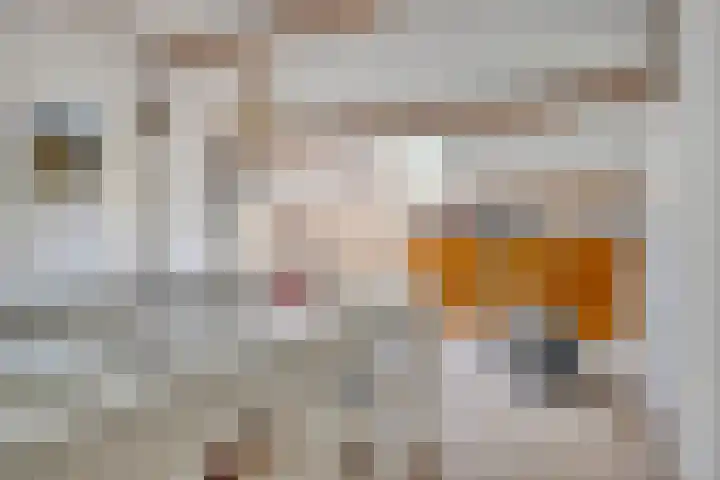 A.van Burenlaan 3 Goes thumbnail 24