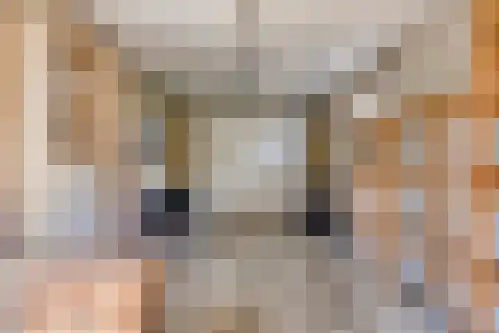 A.van Burenlaan 3 Goes thumbnail 29