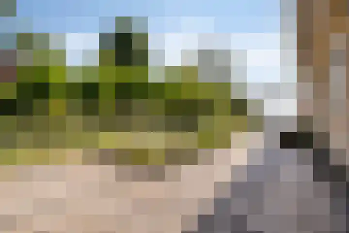 A.van Burenlaan 3 Goes thumbnail 31