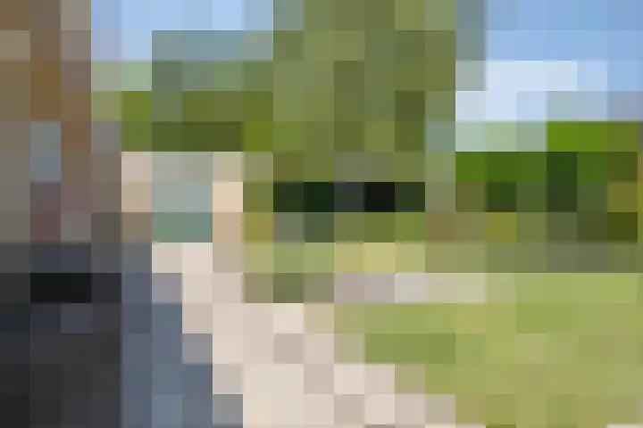 A.van Burenlaan 3 Goes thumbnail 32