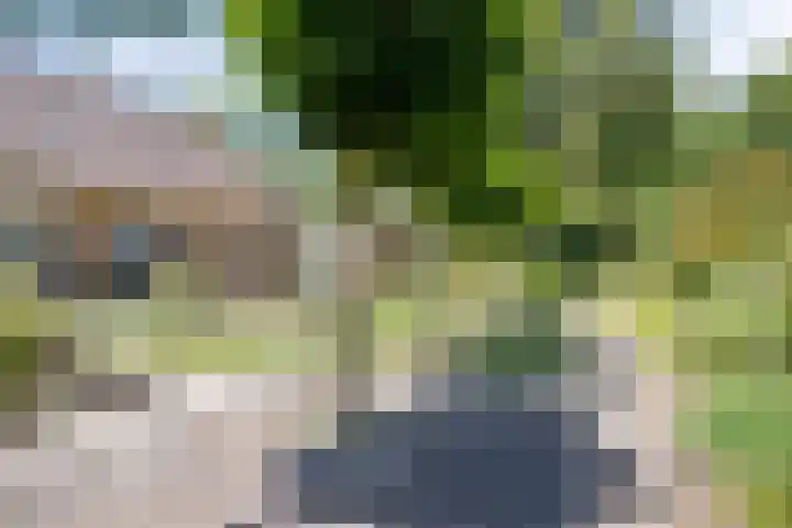 A.van Burenlaan 3 Goes thumbnail 33