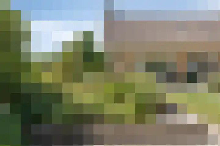 A.van Burenlaan 3 Goes thumbnail 34