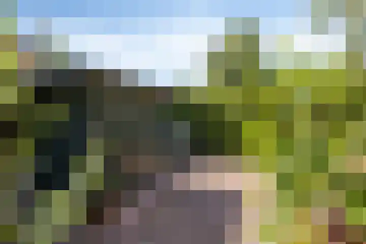 A.van Burenlaan 3 Goes thumbnail 35