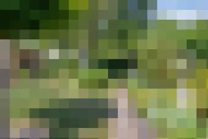 A.van Burenlaan 3 Goes thumbnail 36