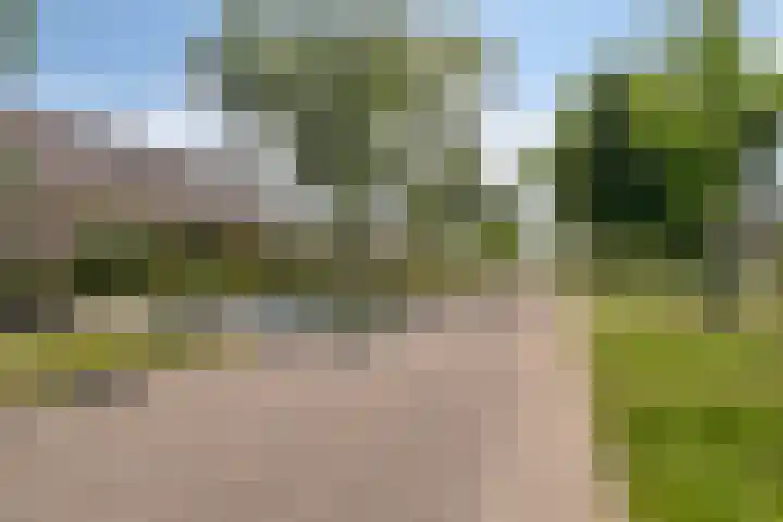 A.van Burenlaan 3 Goes thumbnail 38