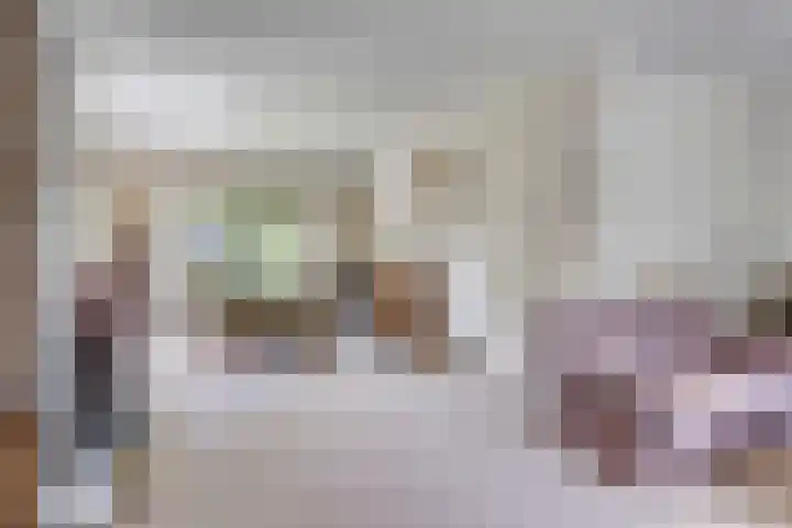 A.van Burenlaan 3 Goes thumbnail 4