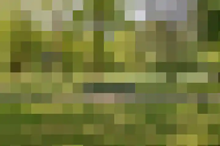 A.van Burenlaan 3 Goes thumbnail 40