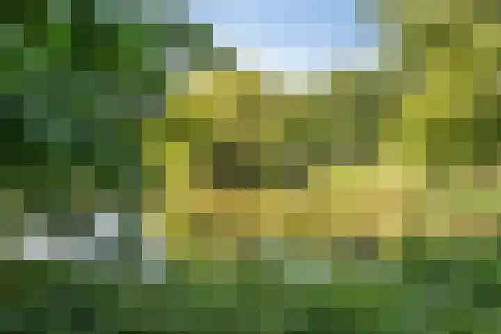 A.van Burenlaan 3 Goes thumbnail 41