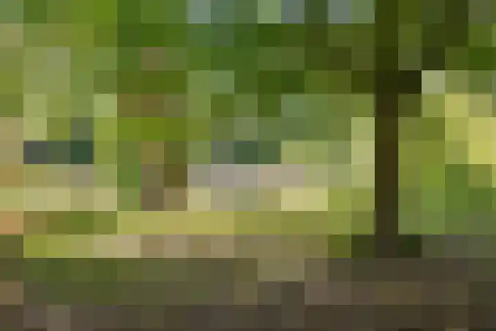 A.van Burenlaan 3 Goes thumbnail 42