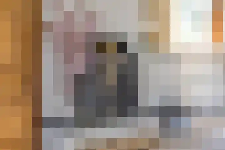 A.van Burenlaan 3 Goes thumbnail 6