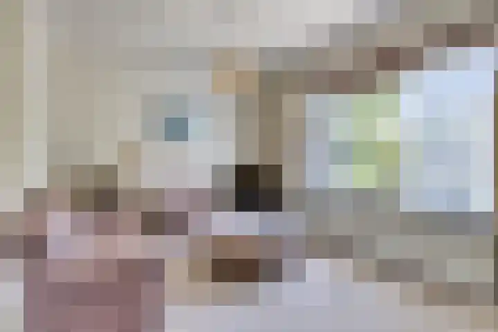 A.van Burenlaan 3 Goes thumbnail 9