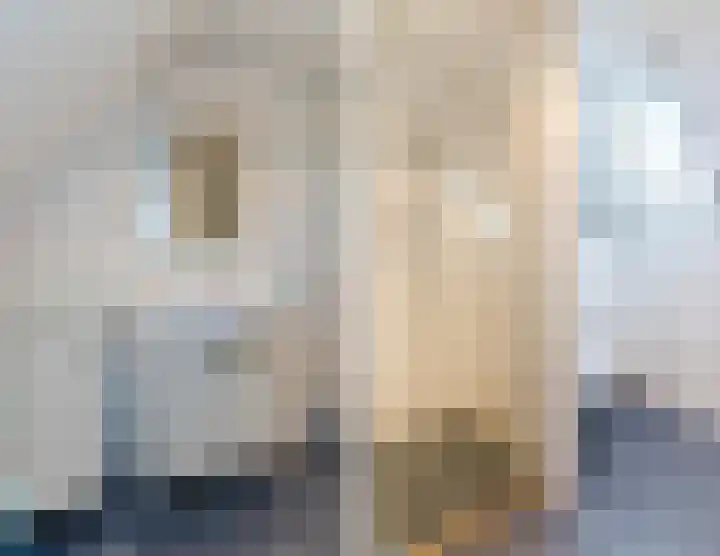 A. van der Kolkstraat 27 Eethen thumbnail 28