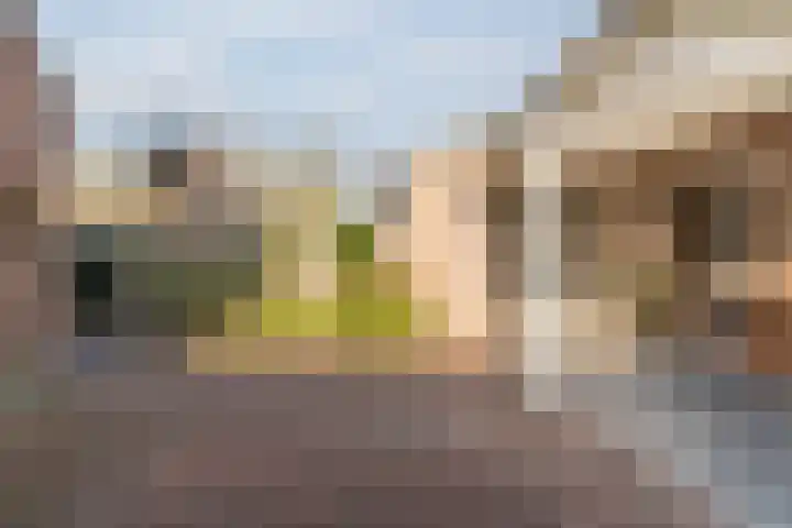 A. van der Kolkstraat 27 Eethen thumbnail 36