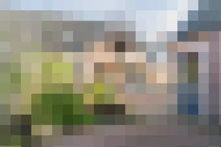 A. van der Kolkstraat 27 Eethen thumbnail 38