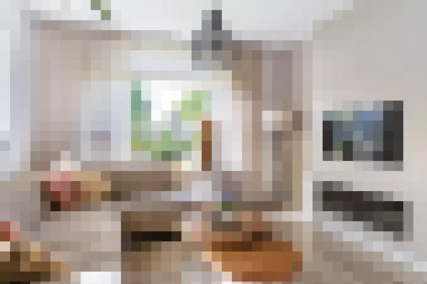 A. van der Meulenstrjitte 16 De Westereen thumbnail 12