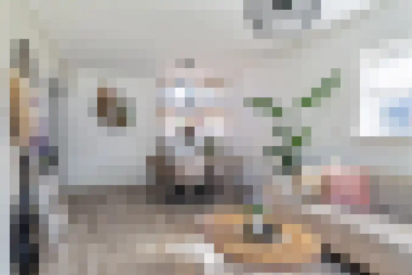 A. van der Meulenstrjitte 16 De Westereen thumbnail 13