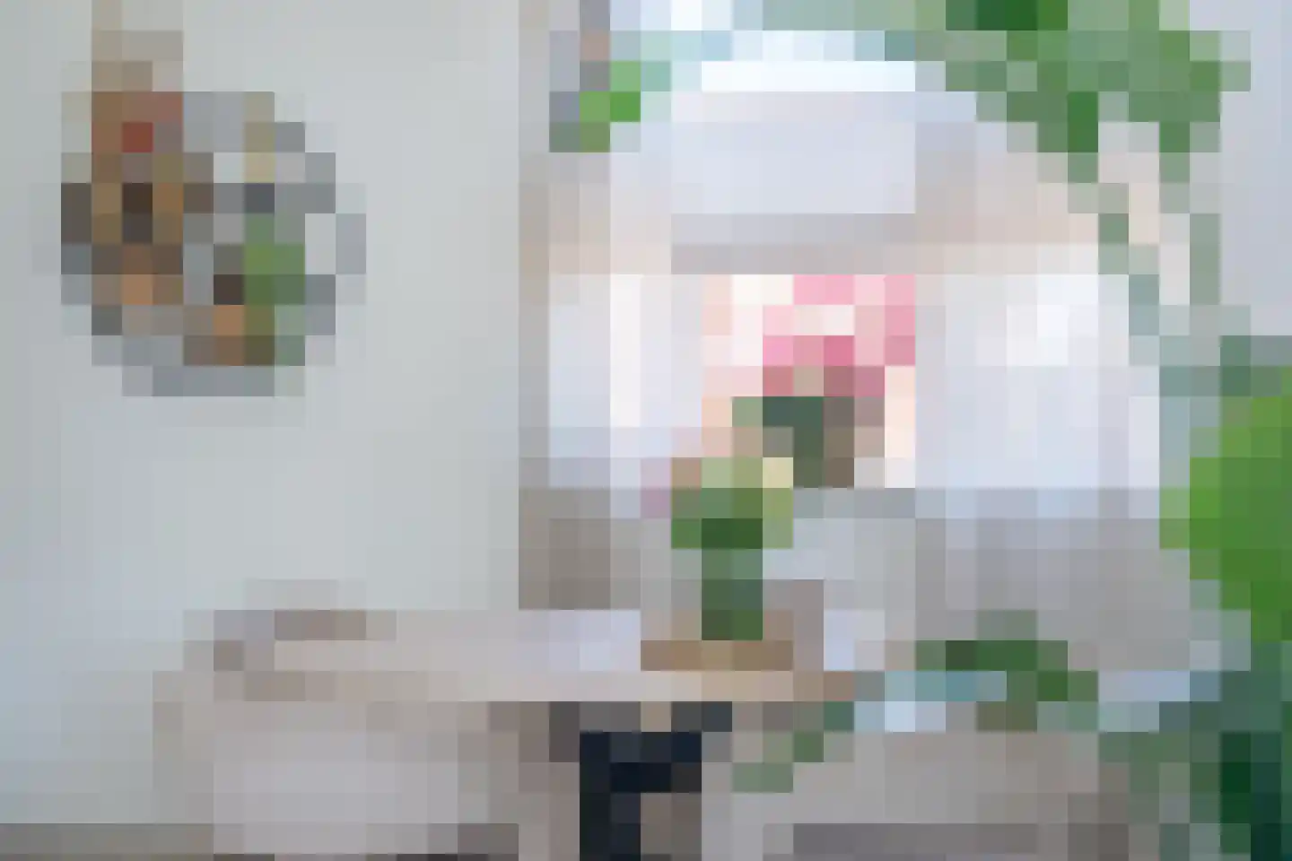 A. van der Meulenstrjitte 16 De Westereen thumbnail 15