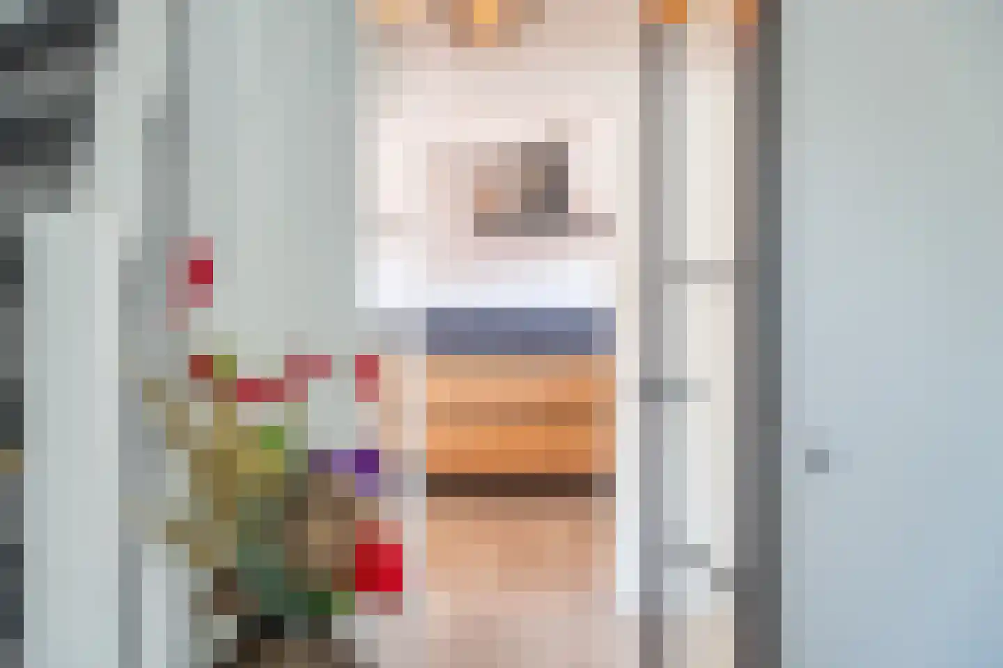 A. van der Meulenstrjitte 16 De Westereen thumbnail 22