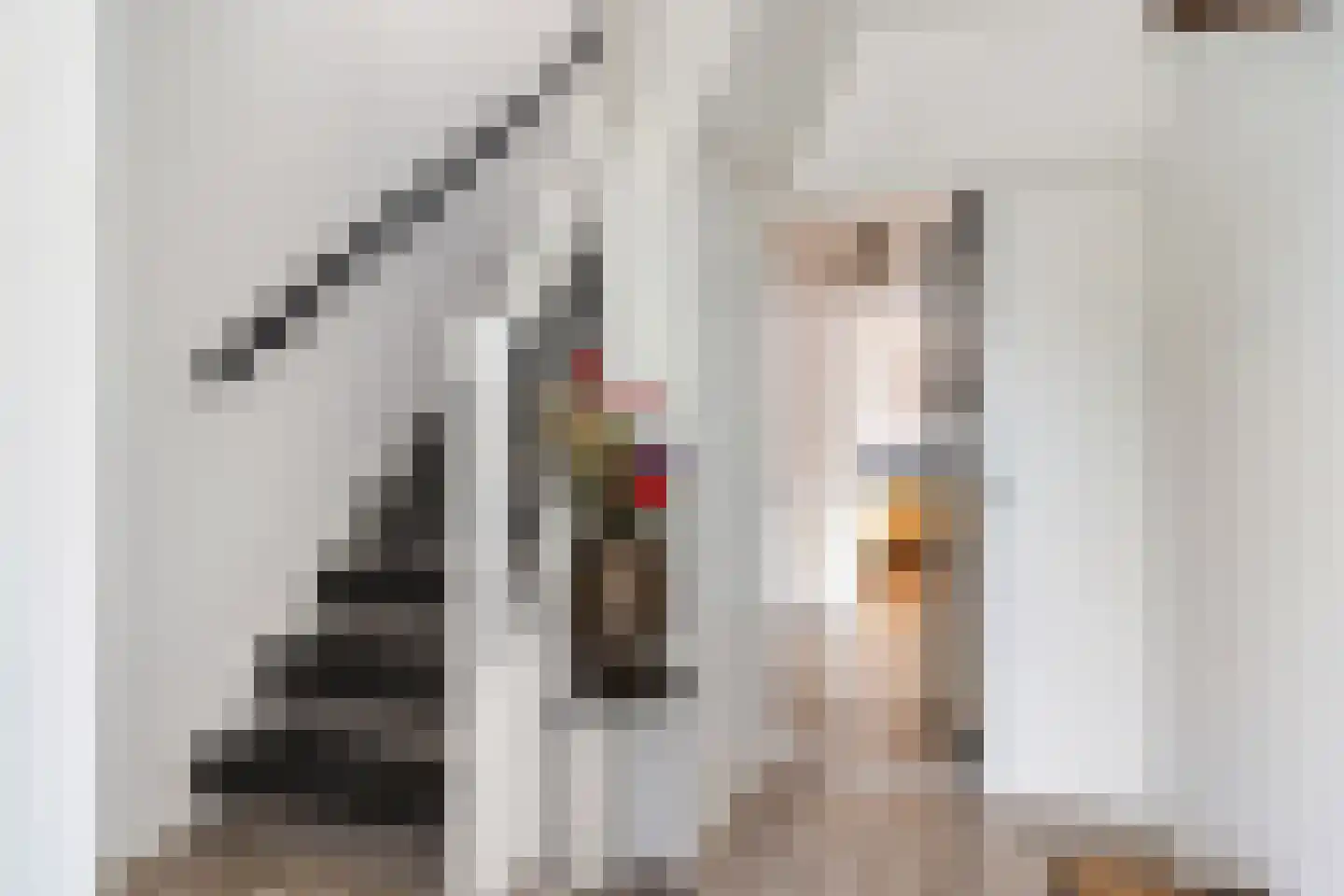A. van der Meulenstrjitte 16 De Westereen thumbnail 23