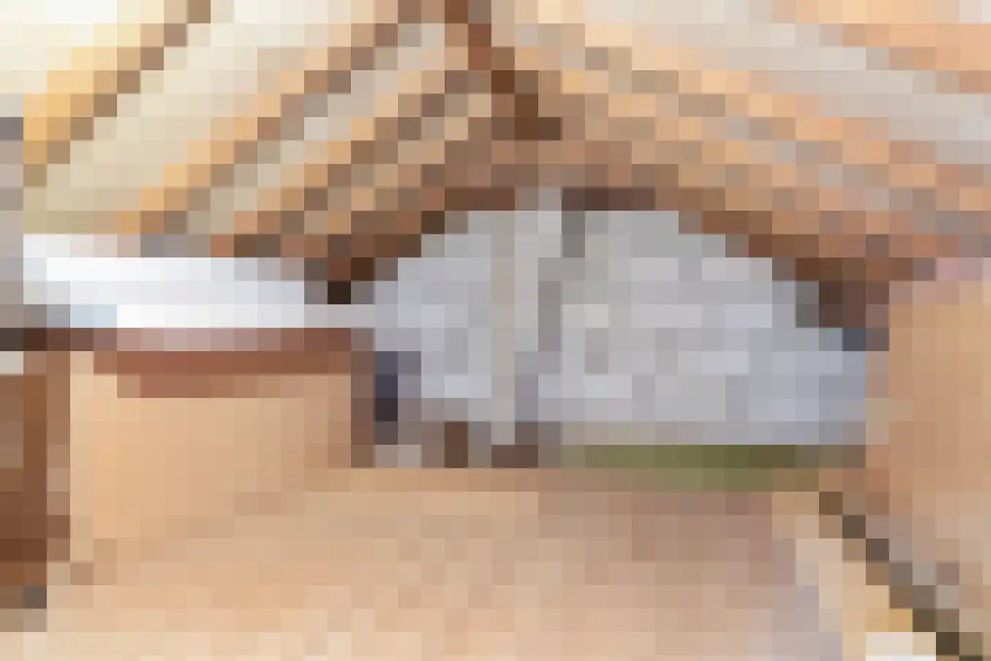 A. van der Meulenstrjitte 16 De Westereen thumbnail 34