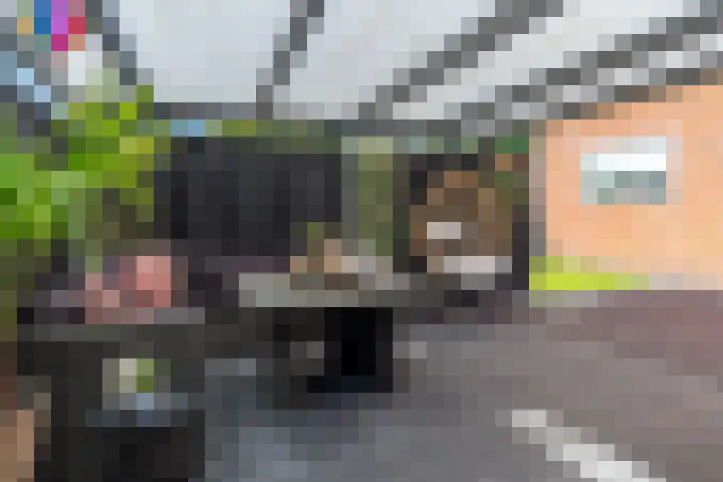 A. van der Meulenstrjitte 16 De Westereen thumbnail 39