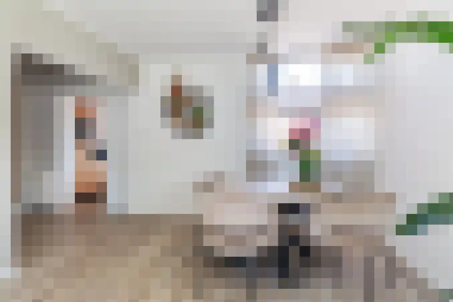 A. van der Meulenstrjitte 16 De Westereen thumbnail 4