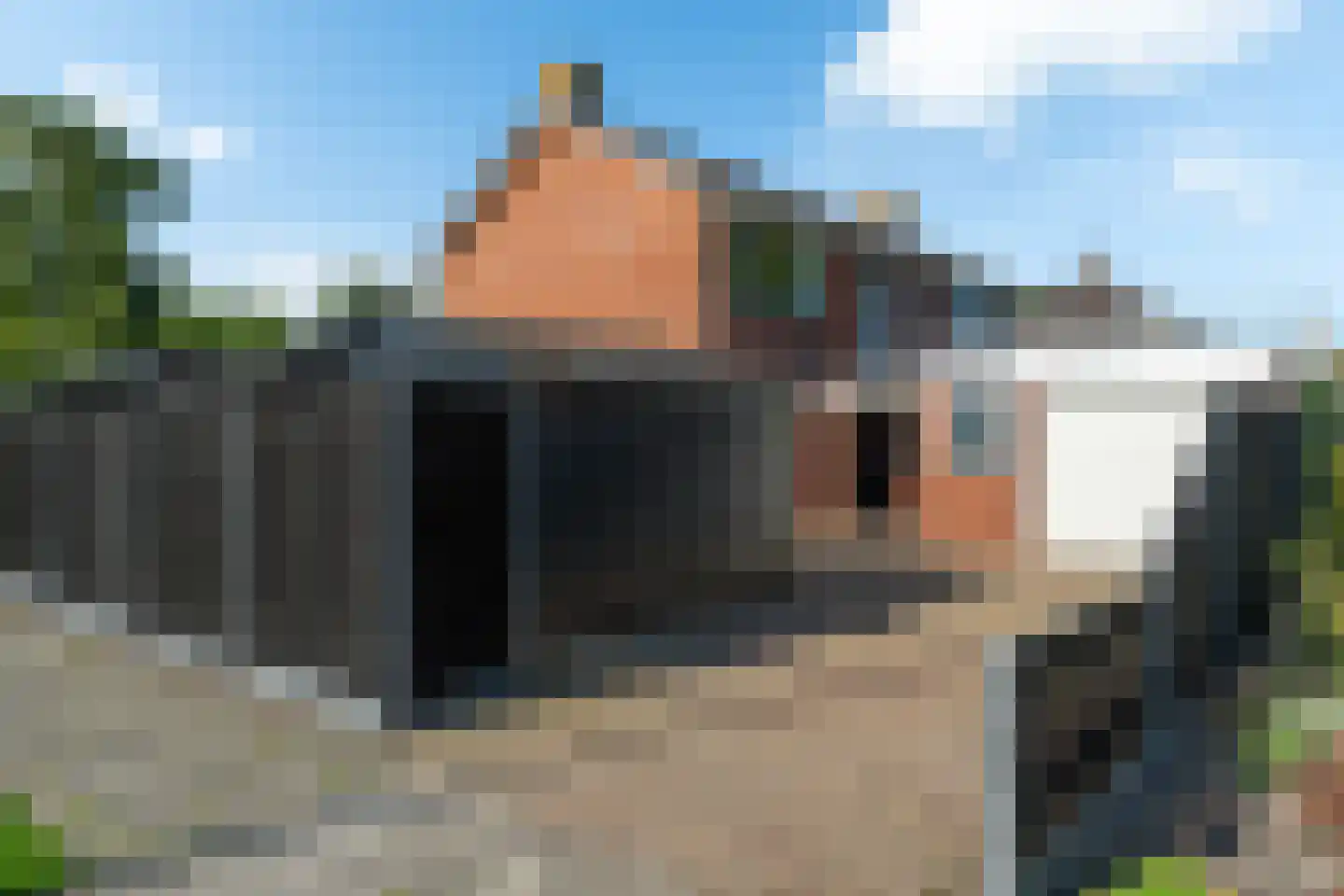 A. van der Meulenstrjitte 16 De Westereen thumbnail 41