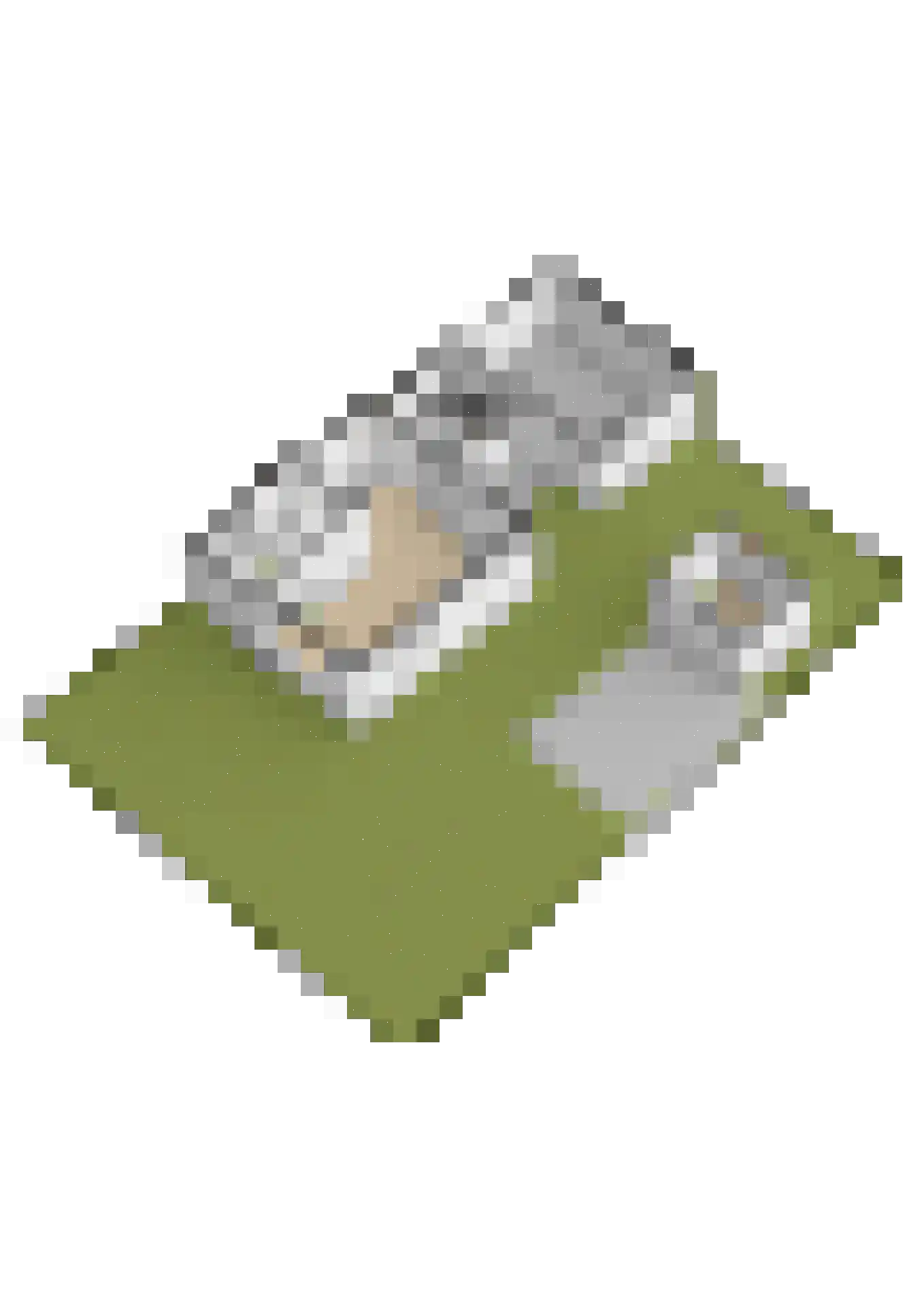 A. van der Meulenstrjitte 16 De Westereen thumbnail 51