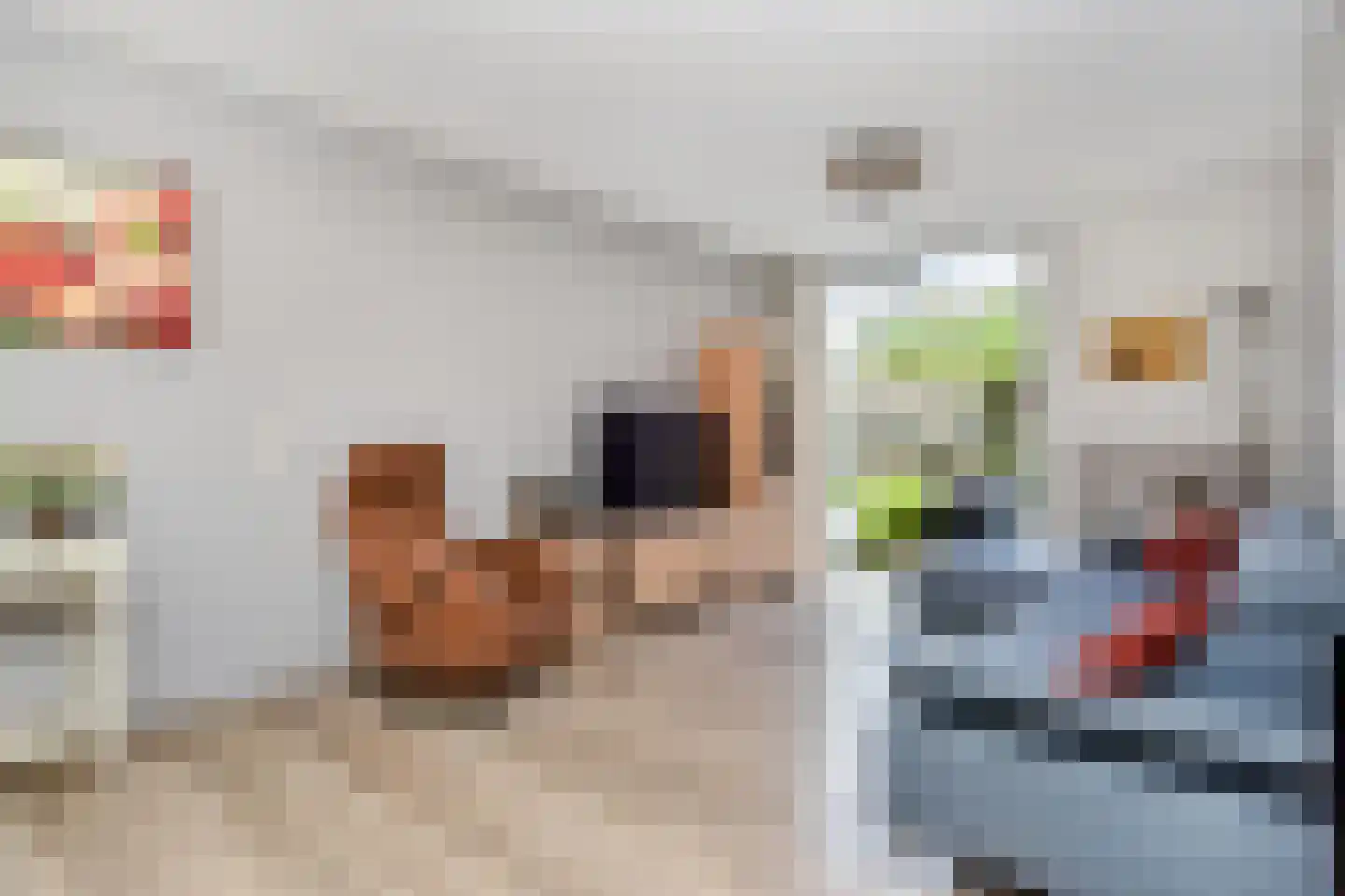 A. van der Tangstraat 22 Den Haag thumbnail 10