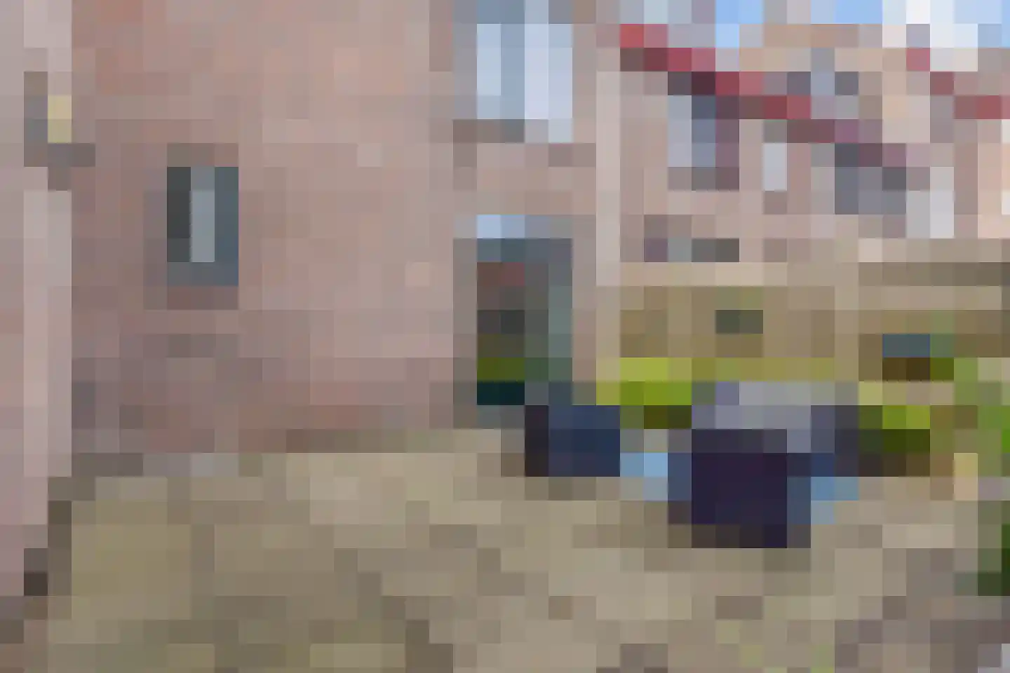 A. van der Tangstraat 22 Den Haag thumbnail 18