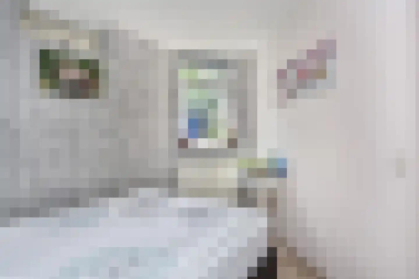 A. van der Tangstraat 22 Den Haag thumbnail 31