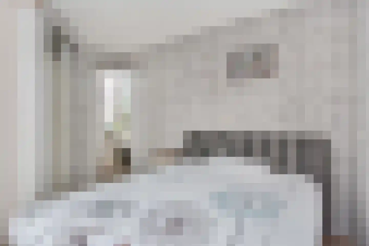 A. van der Tangstraat 22 Den Haag thumbnail 32