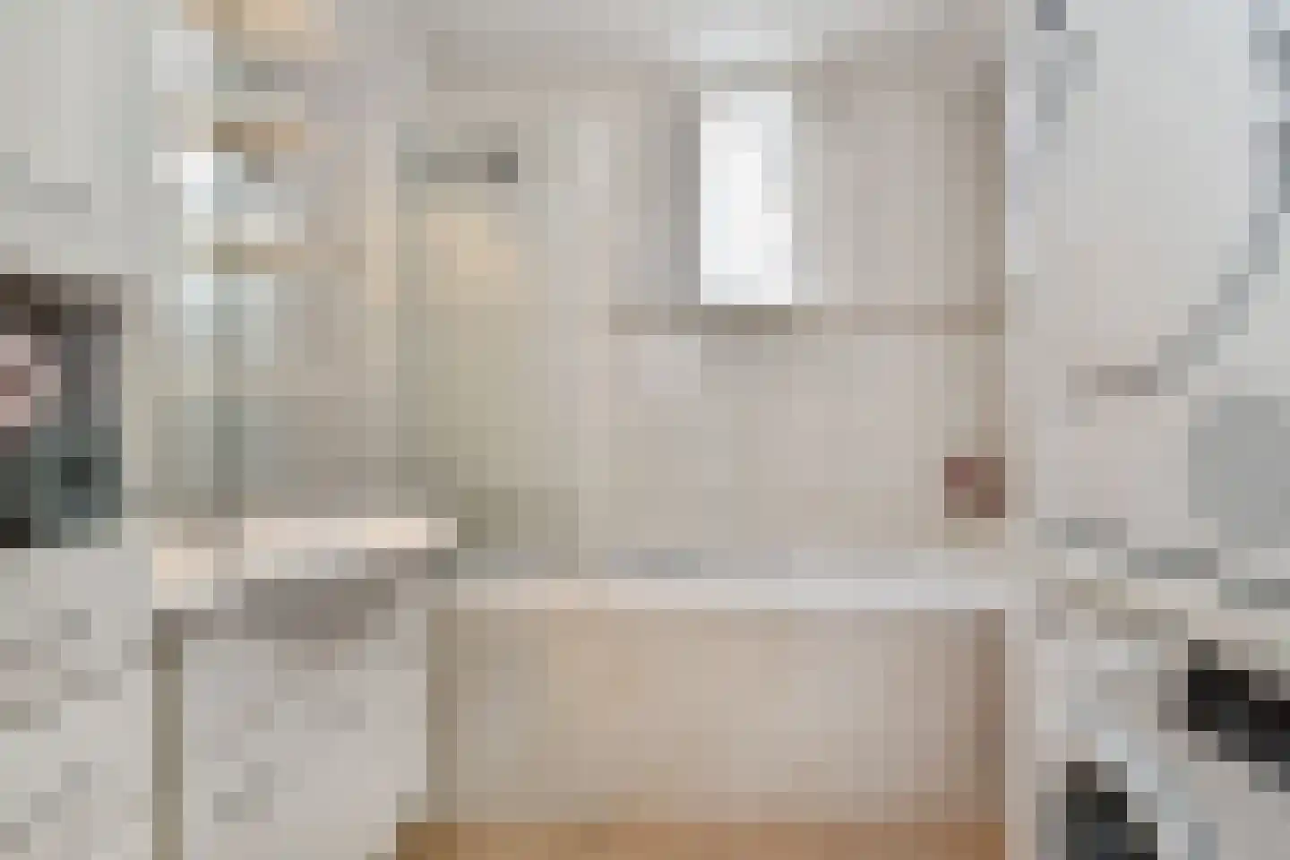 A. van der Tangstraat 22 Den Haag thumbnail 34