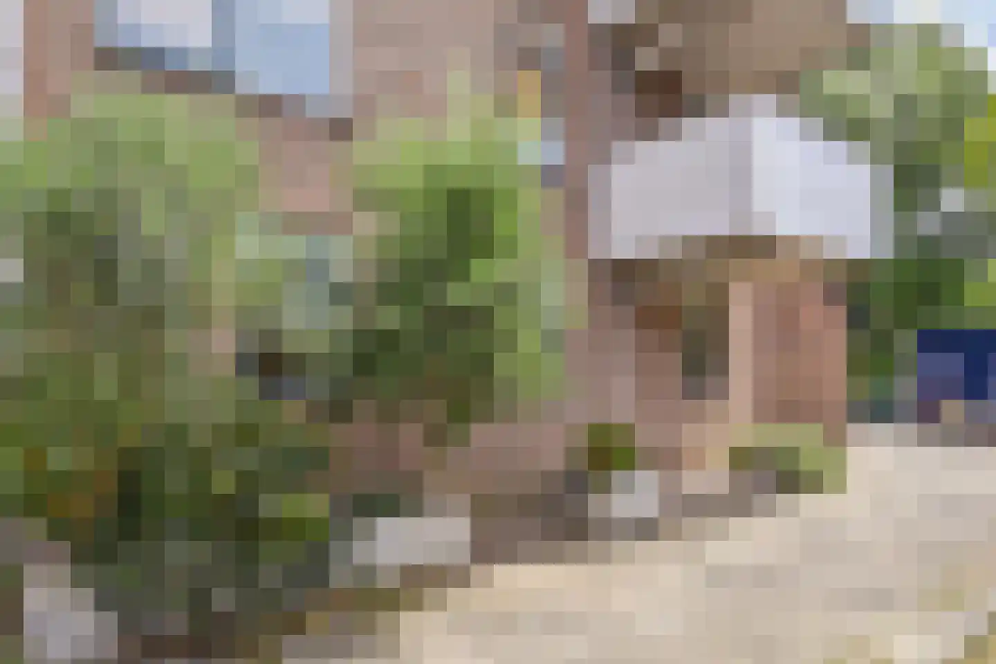 A. van der Tangstraat 22 Den Haag thumbnail 41