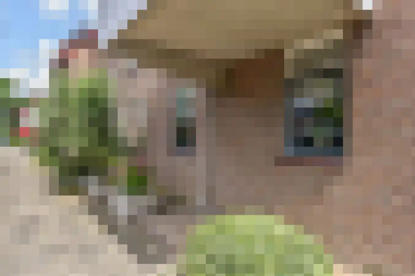 A. van der Tangstraat 22 Den Haag thumbnail 42