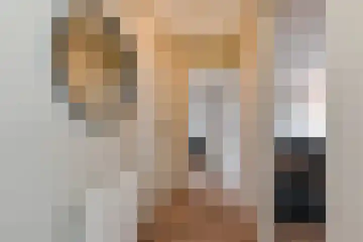 A. van der Tangstraat 24 Den Haag thumbnail 10