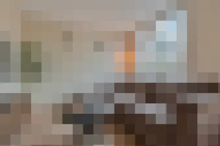 A. van der Tangstraat 24 Den Haag thumbnail 12
