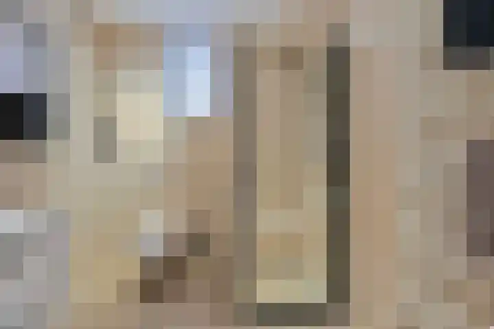 A. van der Tangstraat 24 Den Haag thumbnail 24