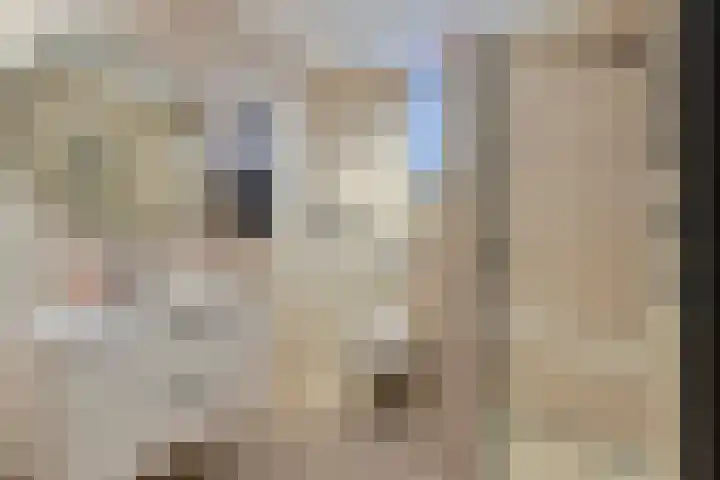 A. van der Tangstraat 24 Den Haag thumbnail 4